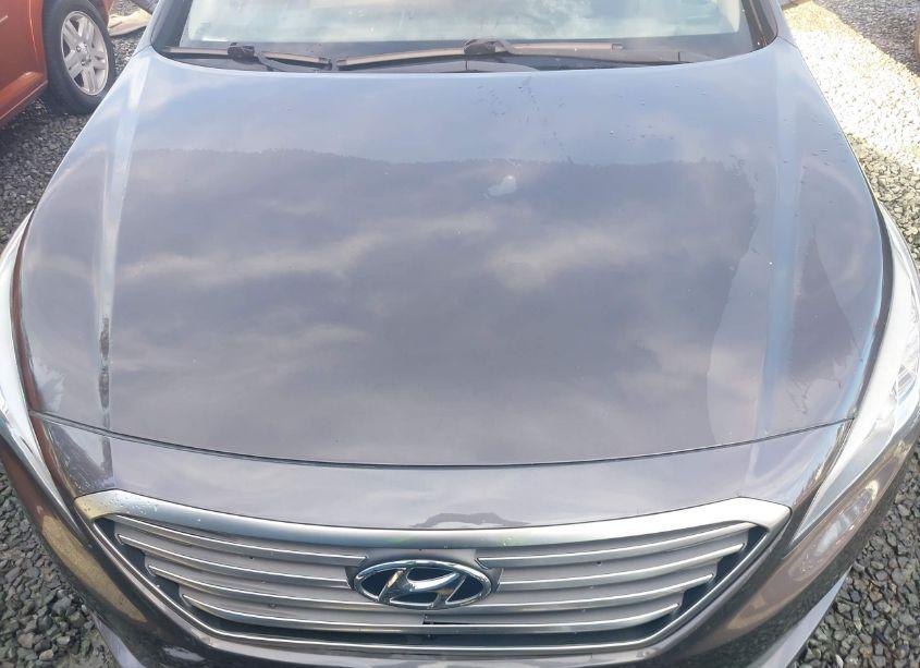 Photo 10 of 2017 Hyundai Sonata (VIN 5NPE24AF9HH549205)