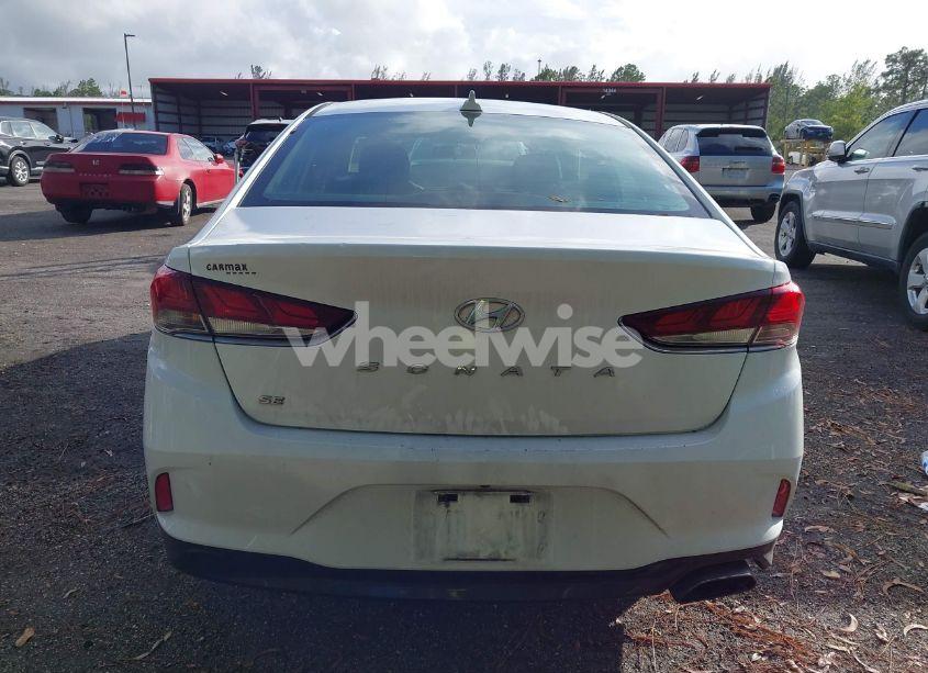 Photo 16 of 2019 Hyundai Sonata SE (VIN 5NPE24AF9KH751114)