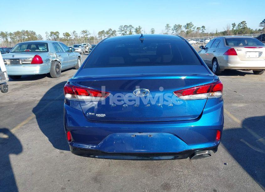 Photo 16 of 2019 Hyundai Sonata SE (VIN 5NPE24AF9KH753624)
