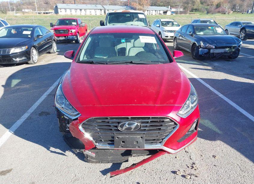 Photo 13 of 2019 Hyundai Sonata SE (VIN 5NPE24AF9KH809528)
