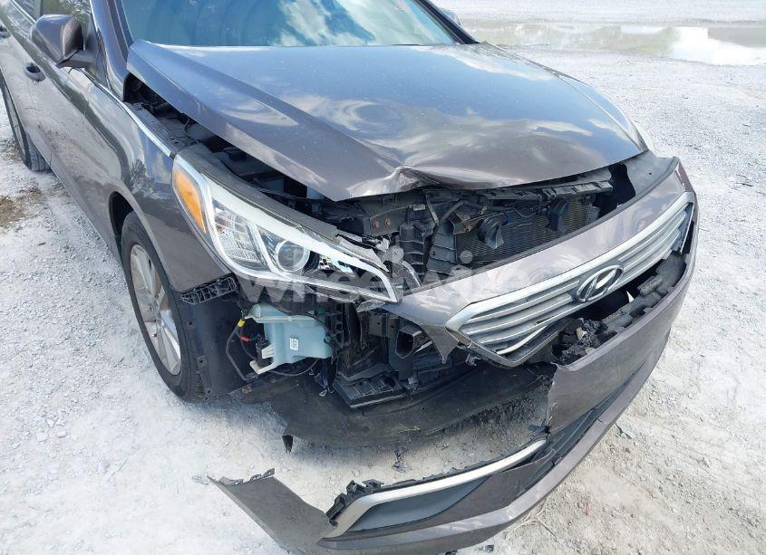 Photo 17 of 2016 Hyundai Sonata SE (VIN 5NPE24AFXGH433302)