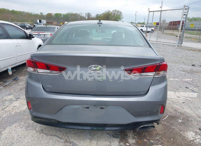 Photo 16 of 2019 Hyundai Sonata SE (VIN 5NPE24AFXKH741546)