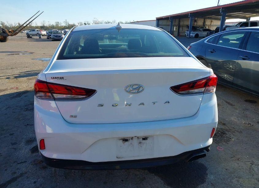 Photo 16 of 2019 Hyundai Sonata SE (VIN 5NPE24AFXKH742602)
