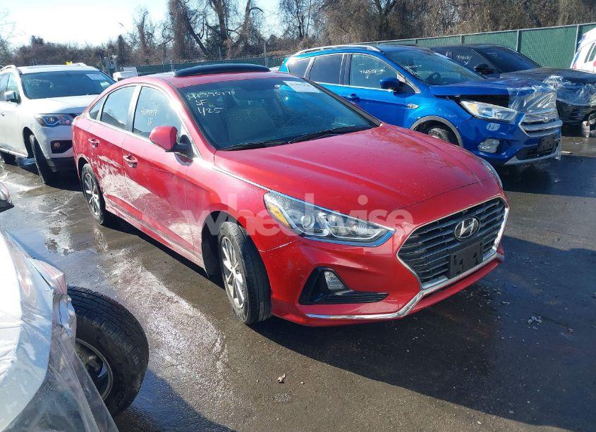2019 Hyundai Sonata SE (VIN 5NPE24AFXKH804970) main photo