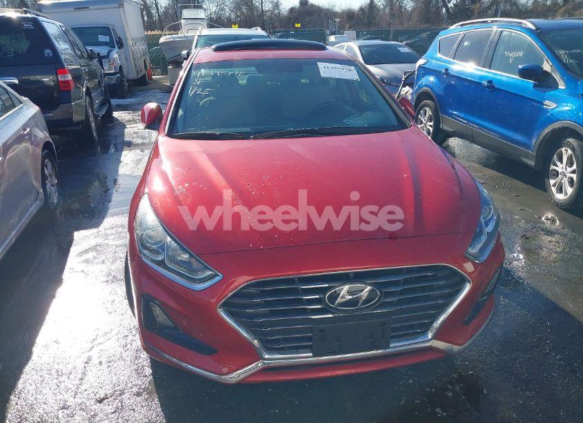 Photo 12 of 2019 Hyundai Sonata SE (VIN 5NPE24AFXKH804970)