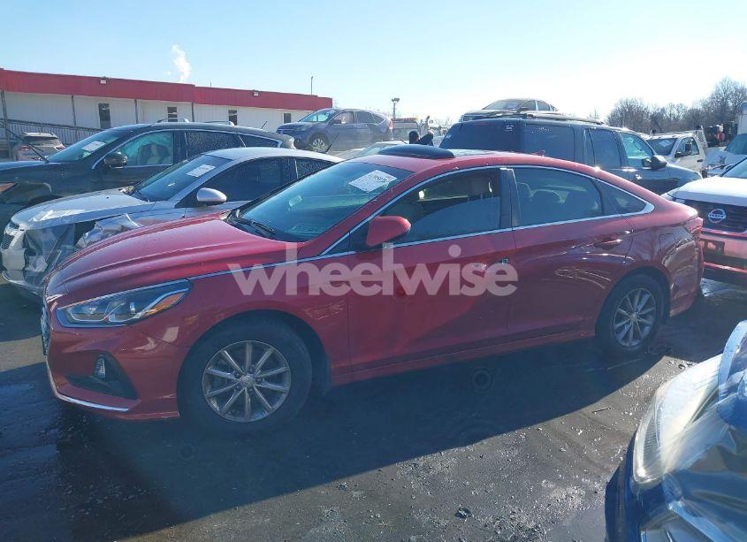 Photo 14 of 2019 Hyundai Sonata SE (VIN 5NPE24AFXKH804970)