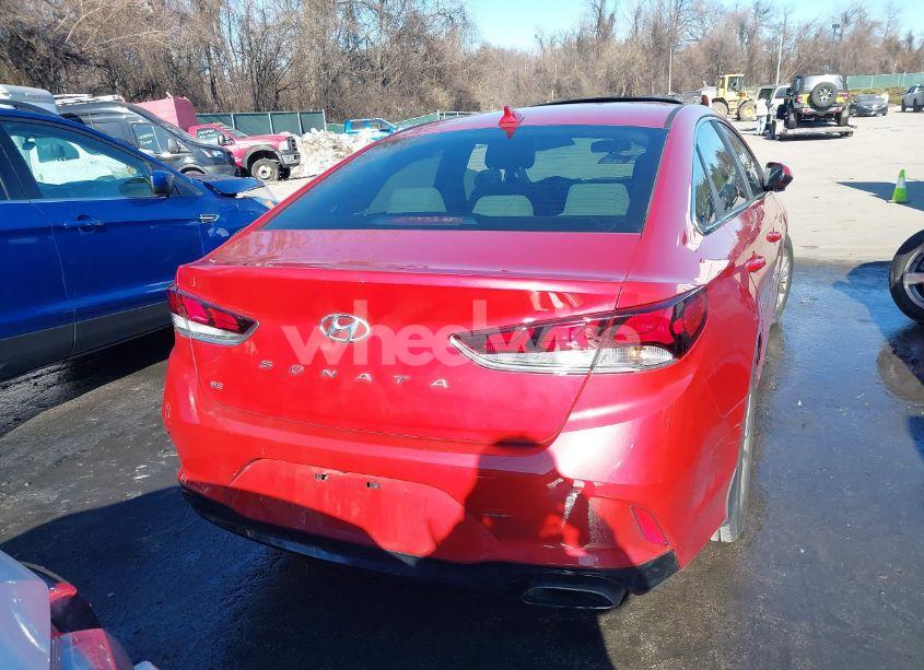 Photo 16 of 2019 Hyundai Sonata SE (VIN 5NPE24AFXKH804970)