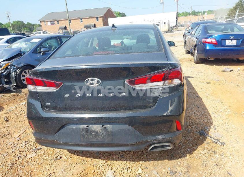 Photo 16 of 2019 Hyundai Sonata SE (VIN 5NPE24AFXKH819257)