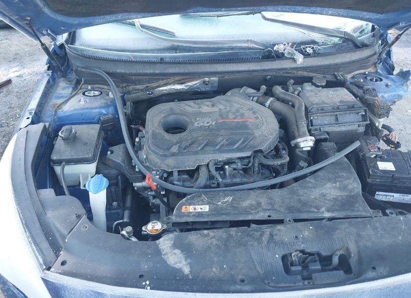 Photo 10 of 2015 Hyundai Sonata LIMITED 2.0T (VIN 5NPE34AB2FH189296)