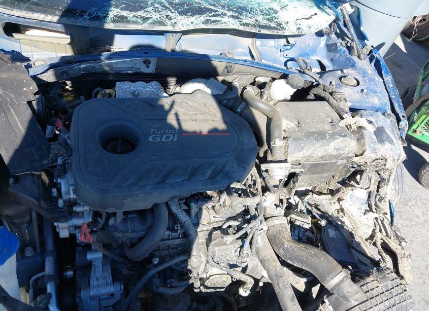 Photo 10 of 2019 Hyundai Sonata LIMITED 2.0T (VIN 5NPE34AB2KH802141)