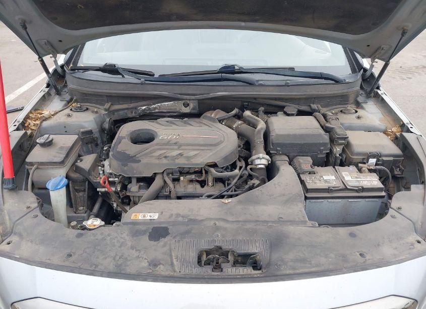 Photo 10 of 2016 Hyundai Sonata LIMITED 2.0T (VIN 5NPE34AB4GH292561)