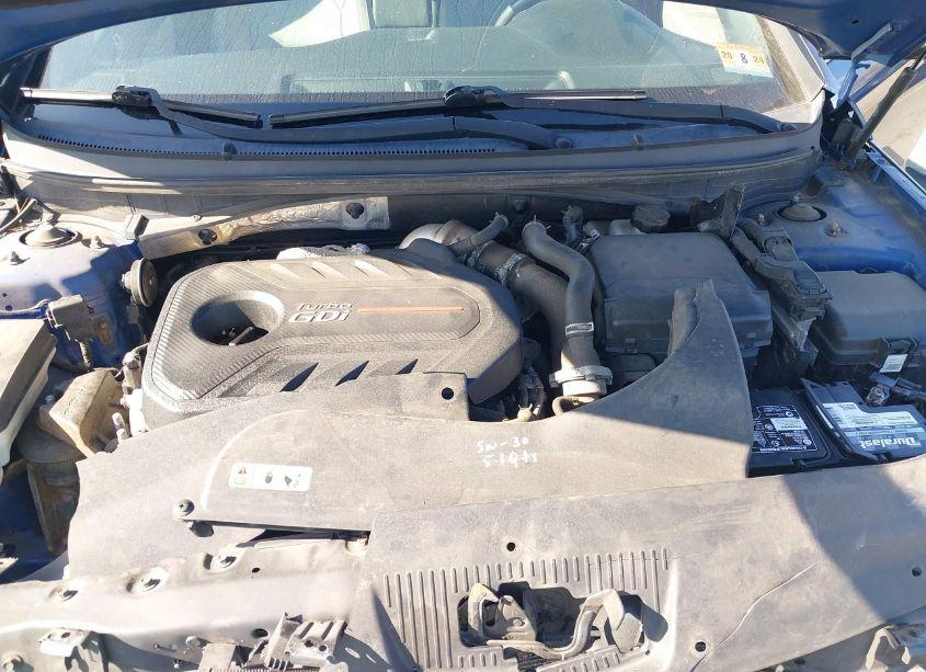 Photo 10 of 2017 Hyundai Sonata SPORT 2.0T (VIN 5NPE34AB8HH467699)