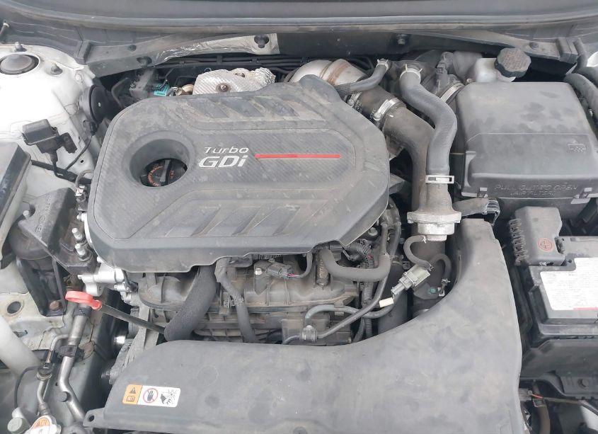 Photo 10 of 2017 Hyundai Sonata SPORT 2.0T (VIN 5NPE34ABXHH455263)