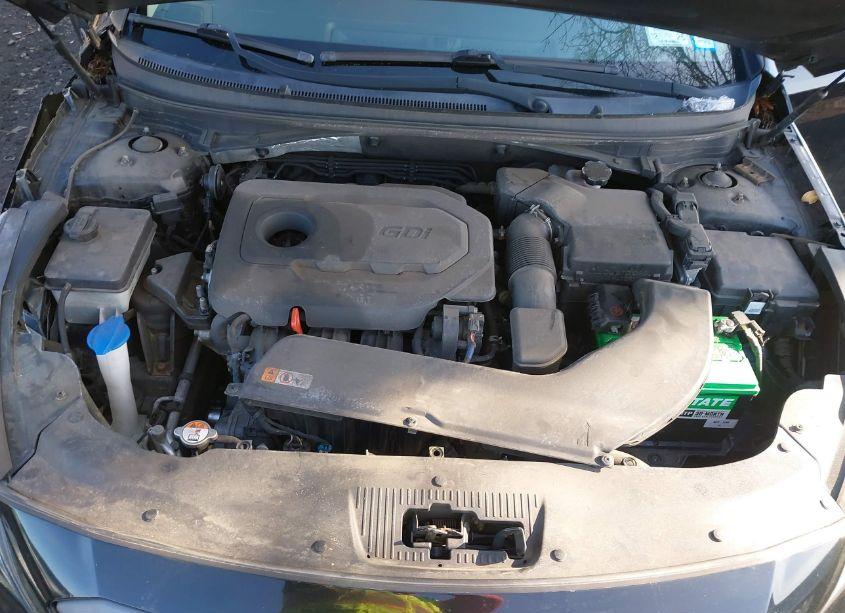 Photo 10 of 2017 Hyundai Sonata SPORT (VIN 5NPE34AF0HH481258)