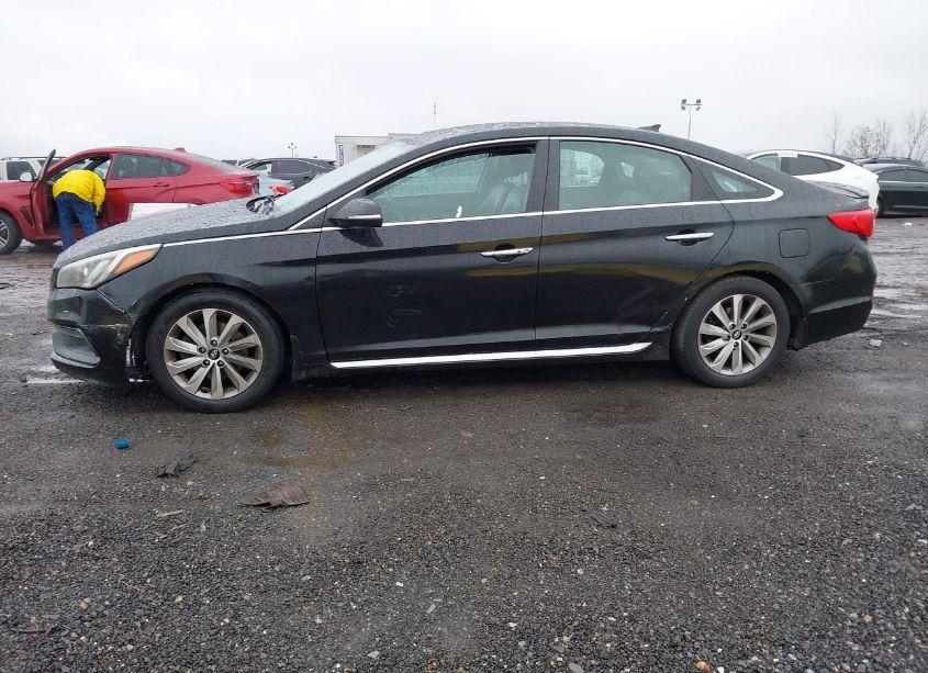Photo 14 of 2017 Hyundai Sonata SPORT (VIN 5NPE34AF0HH506269)