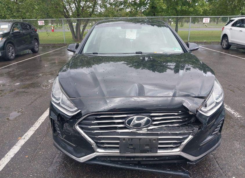 Photo 12 of 2018 Hyundai Sonata SEL (VIN 5NPE34AF0JH597081)