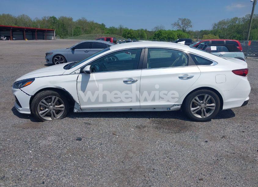 Photo 14 of 2018 Hyundai Sonata SEL (VIN 5NPE34AF0JH664956)