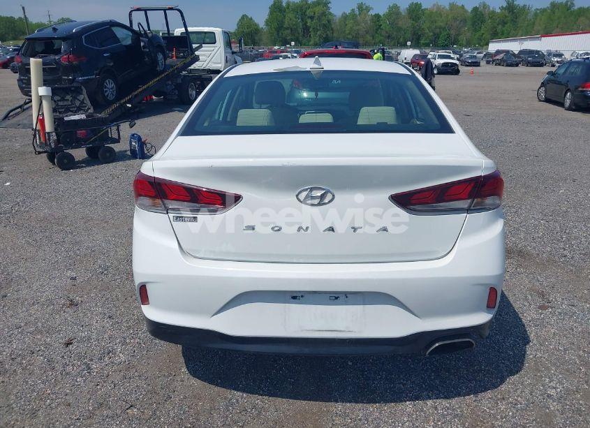 Photo 16 of 2018 Hyundai Sonata SEL (VIN 5NPE34AF0JH664956)