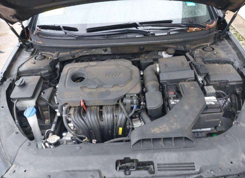 Photo 10 of 2018 Hyundai Sonata SPORT+ (VIN 5NPE34AF0JH704114)