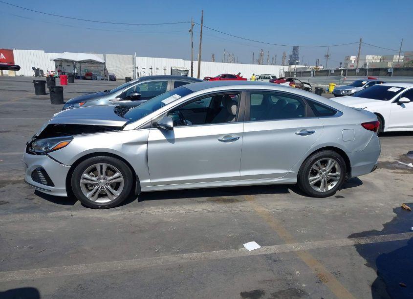 Photo 14 of 2019 Hyundai Sonata SEL (VIN 5NPE34AF0KH735851)