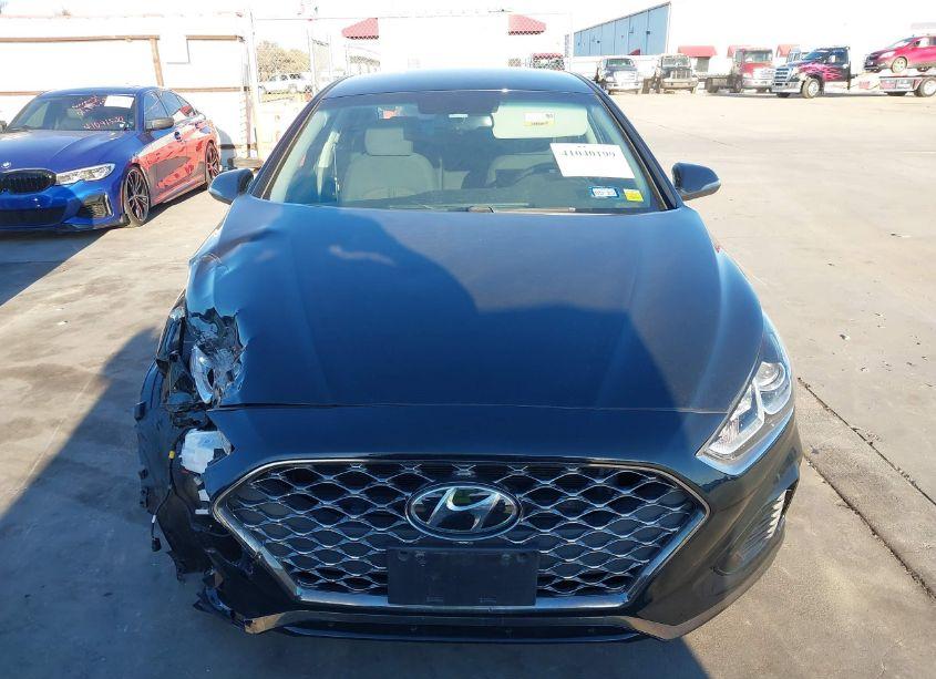 Photo 13 of 2019 Hyundai Sonata SEL (VIN 5NPE34AF0KH759244)
