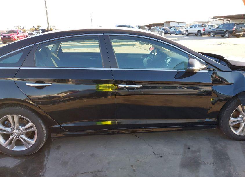 Photo 14 of 2019 Hyundai Sonata SEL (VIN 5NPE34AF0KH759244)