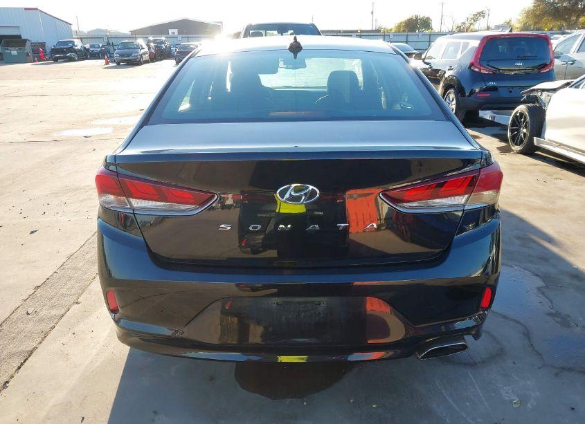 Photo 17 of 2019 Hyundai Sonata SEL (VIN 5NPE34AF0KH759244)