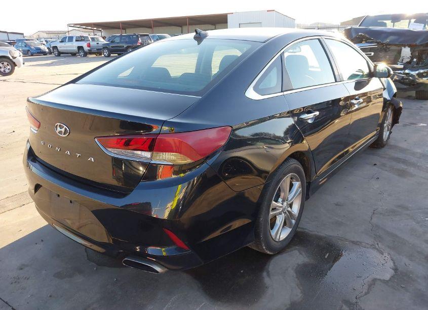 Photo 4 of 2019 Hyundai Sonata SEL (VIN 5NPE34AF0KH759244)