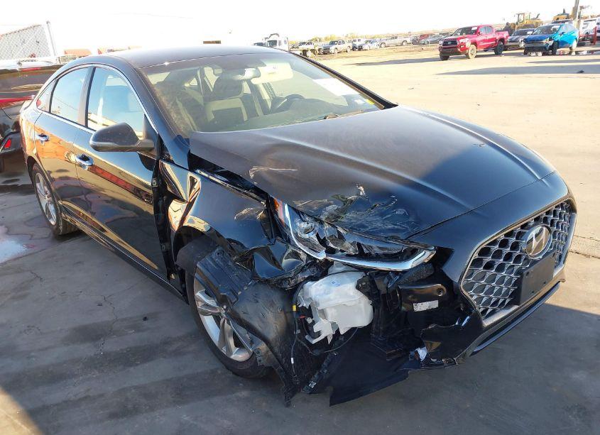 Photo 6 of 2019 Hyundai Sonata SEL (VIN 5NPE34AF0KH759244)