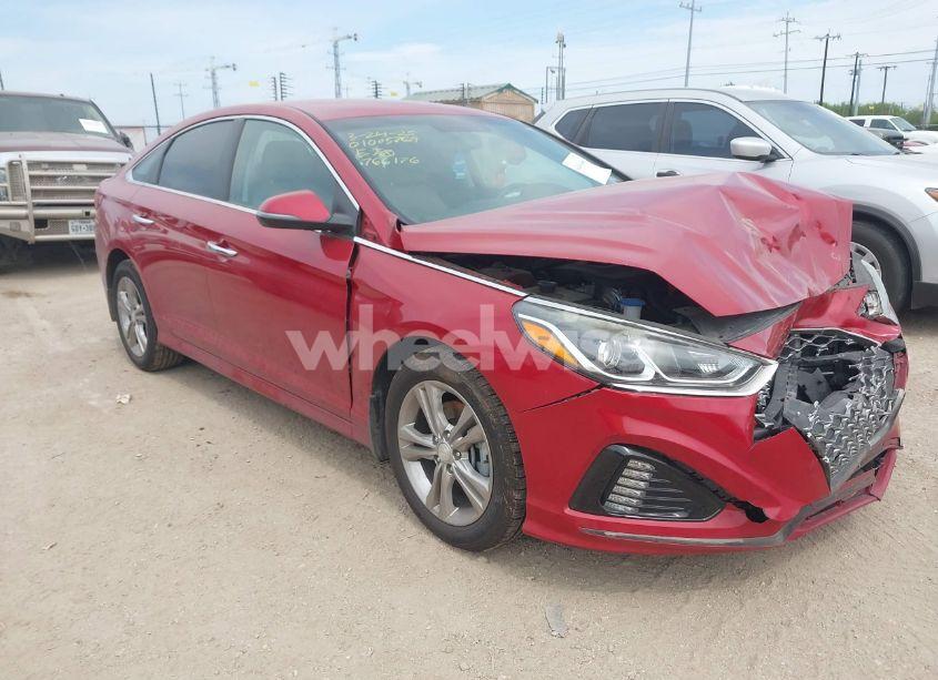 2019 Hyundai Sonata SEL (VIN 5NPE34AF0KH766176) main photo