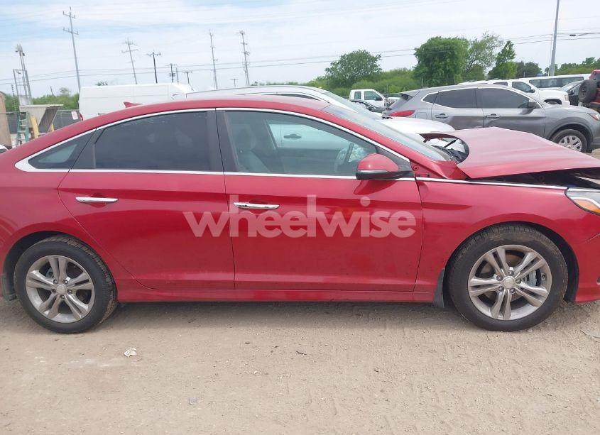 Photo 13 of 2019 Hyundai Sonata SEL (VIN 5NPE34AF0KH766176)