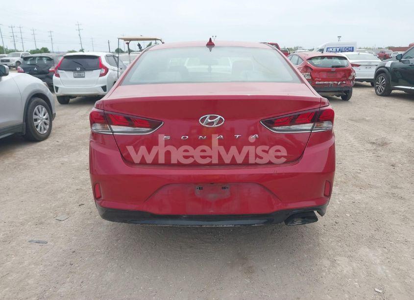 Photo 16 of 2019 Hyundai Sonata SEL (VIN 5NPE34AF0KH766176)