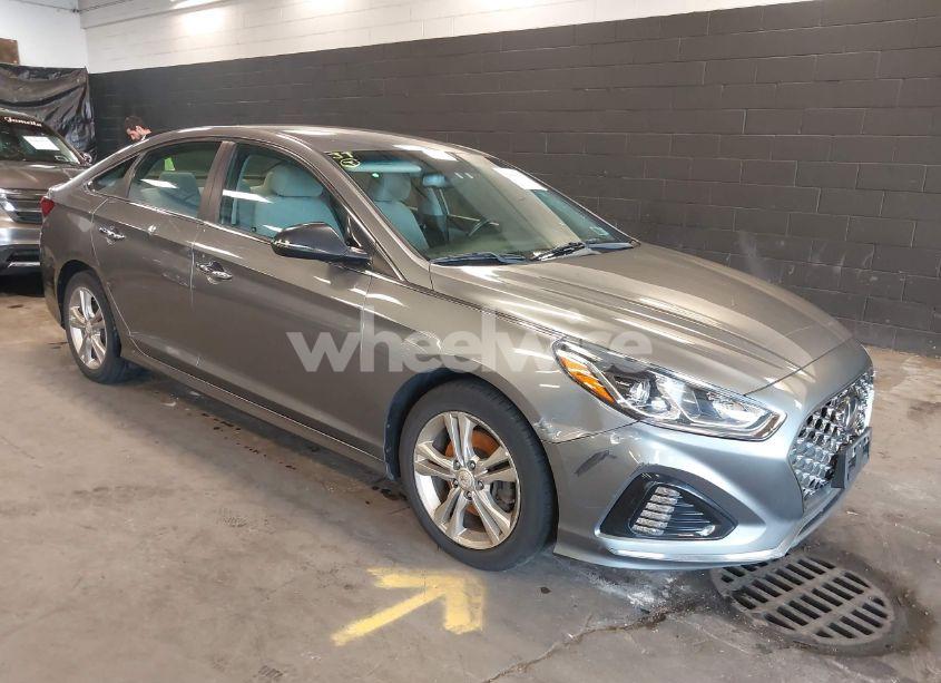 2019 Hyundai Sonata SEL (VIN 5NPE34AF0KH774309) main photo