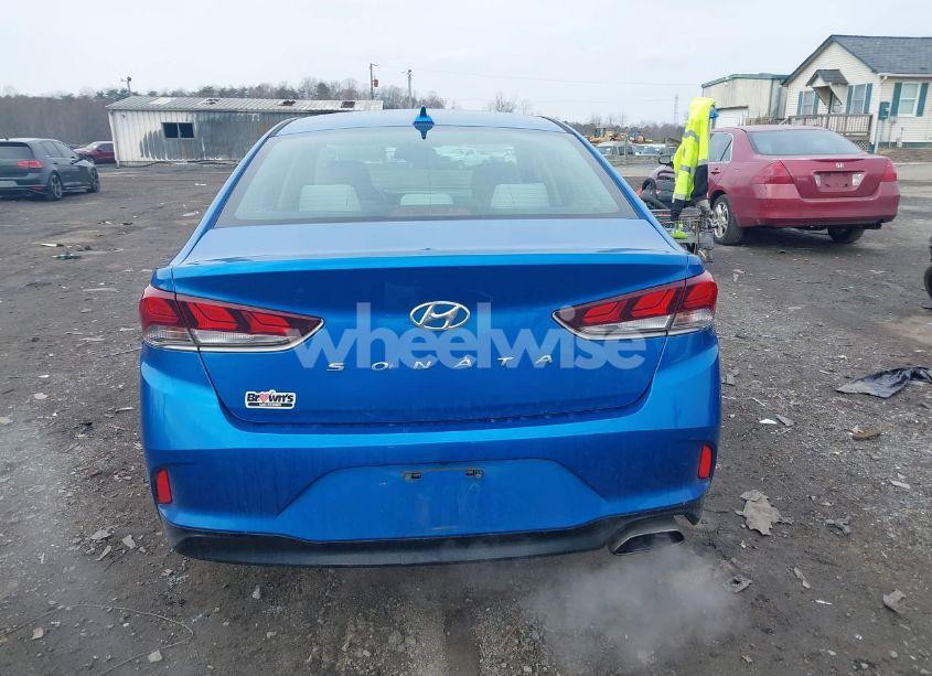 Photo 17 of 2019 Hyundai Sonata SEL (VIN 5NPE34AF0KH778926)