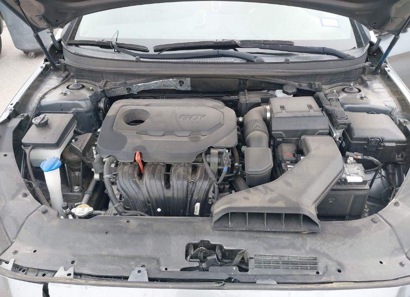 Photo 10 of 2019 Hyundai Sonata SPORT (VIN 5NPE34AF0KH781227)