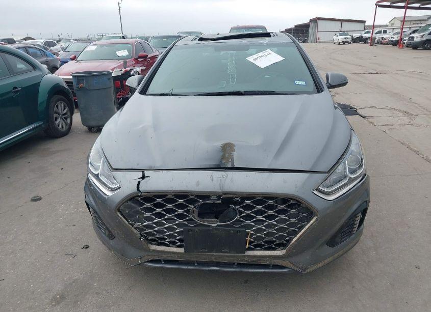 Photo 12 of 2019 Hyundai Sonata SPORT (VIN 5NPE34AF0KH781227)