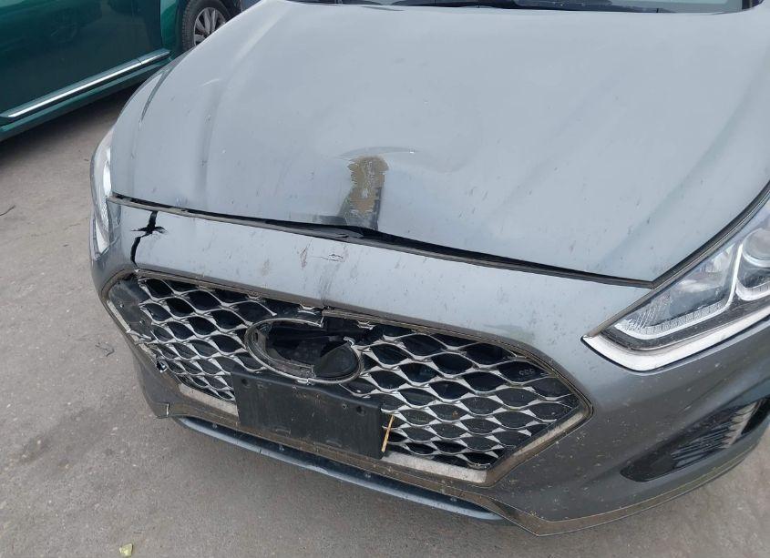 Photo 6 of 2019 Hyundai Sonata SPORT (VIN 5NPE34AF0KH781227)