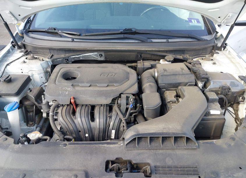 Photo 10 of 2019 Hyundai Sonata SEL (VIN 5NPE34AF0KH795774)