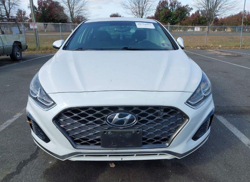 Photo 12 of 2019 Hyundai Sonata SEL (VIN 5NPE34AF0KH795774)