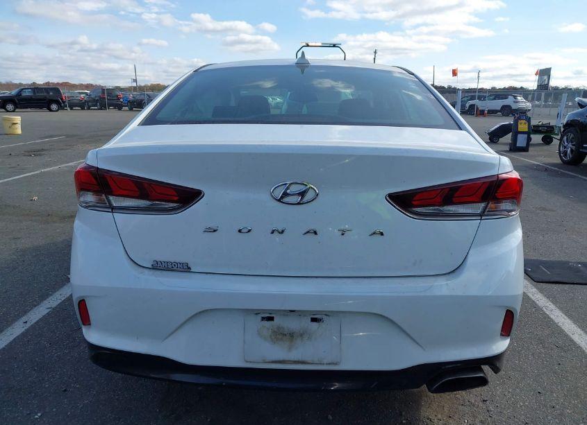 Photo 16 of 2019 Hyundai Sonata SEL (VIN 5NPE34AF0KH795774)