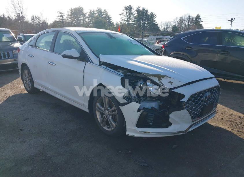 2019 Hyundai Sonata SEL (VIN 5NPE34AF0KH798898) main photo