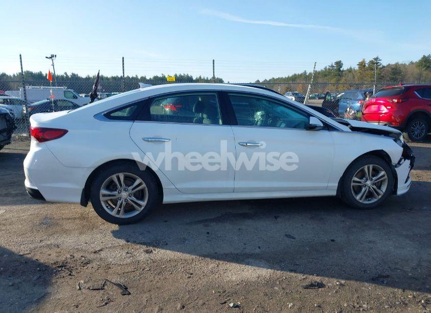 Photo 13 of 2019 Hyundai Sonata SEL (VIN 5NPE34AF0KH798898)