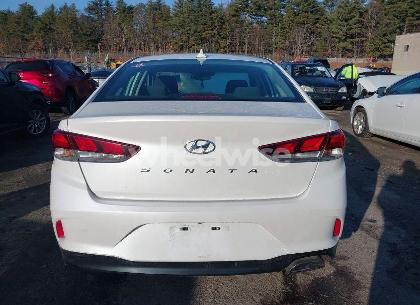 Photo 16 of 2019 Hyundai Sonata SEL (VIN 5NPE34AF0KH798898)