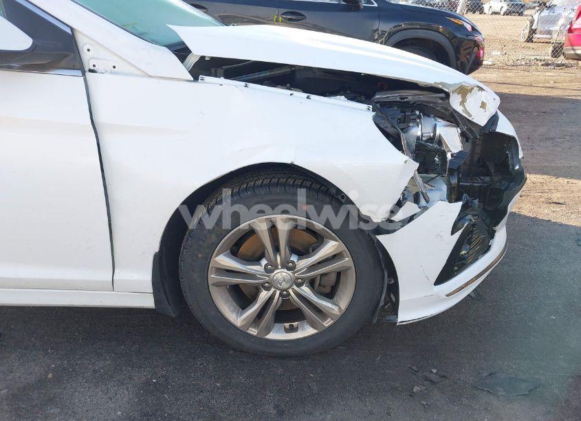 Photo 17 of 2019 Hyundai Sonata SEL (VIN 5NPE34AF0KH798898)