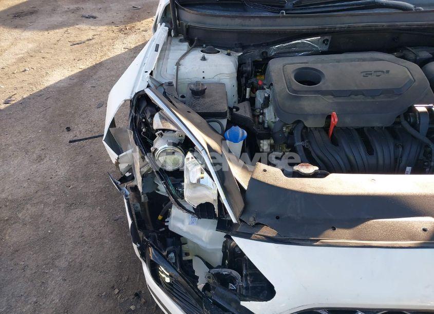 Photo 19 of 2019 Hyundai Sonata SEL (VIN 5NPE34AF0KH798898)