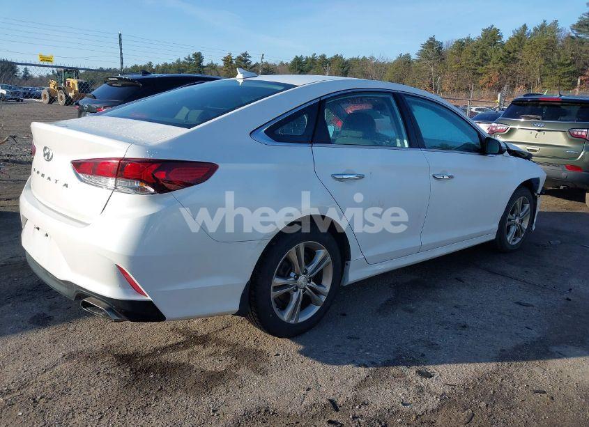 Photo 4 of 2019 Hyundai Sonata SEL (VIN 5NPE34AF0KH798898)