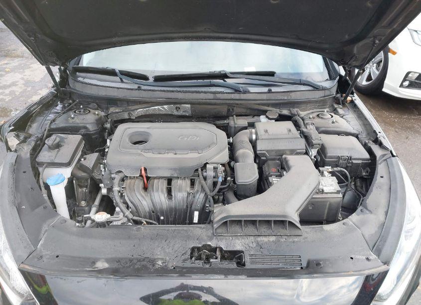 Photo 10 of 2019 Hyundai Sonata SEL (VIN 5NPE34AF0KH802822)