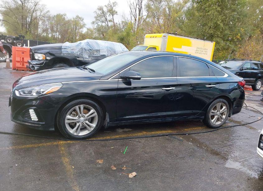 Photo 14 of 2019 Hyundai Sonata SEL (VIN 5NPE34AF0KH802822)