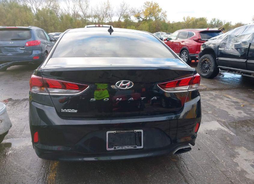 Photo 16 of 2019 Hyundai Sonata SEL (VIN 5NPE34AF0KH802822)