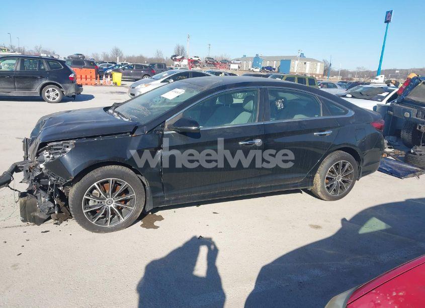 Photo 14 of 2019 Hyundai Sonata SEL (VIN 5NPE34AF0KH809897)